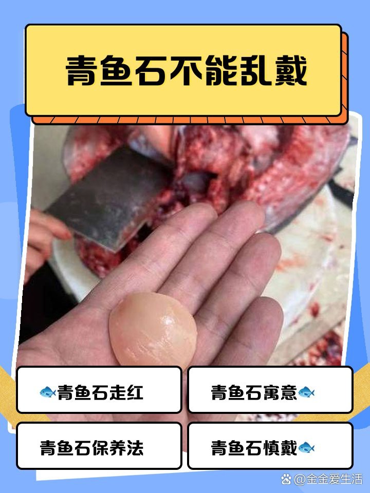 魚吊墜不能亂戴 魚吊墜不能亂戴 龍魚論壇 第3張