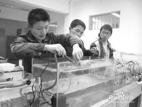 魚缸換水后注意事項：在魚缸換水后，應注意以下幾點：確保水質(zhì)穩(wěn)定，水溫適宜 魚缸換水后注意事項：在魚缸換水后，應注意以下幾點：確保水質(zhì)穩(wěn)定，水溫適宜 魚缸百科 第3張
