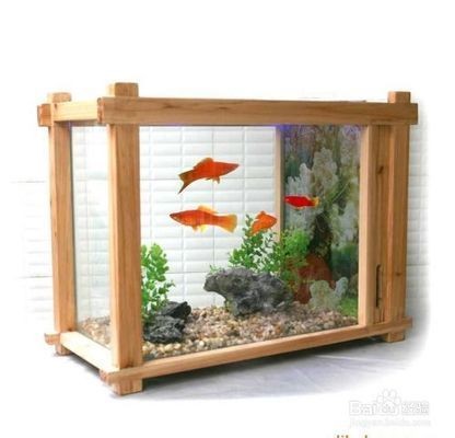 魚缸換水后注意事項：在魚缸換水后，應注意以下幾點：確保水質(zhì)穩(wěn)定，水溫適宜 魚缸換水后注意事項：在魚缸換水后，應注意以下幾點：確保水質(zhì)穩(wěn)定，水溫適宜 魚缸百科 第5張
