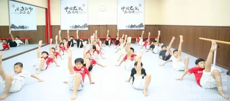 紅龍魚一共多少元