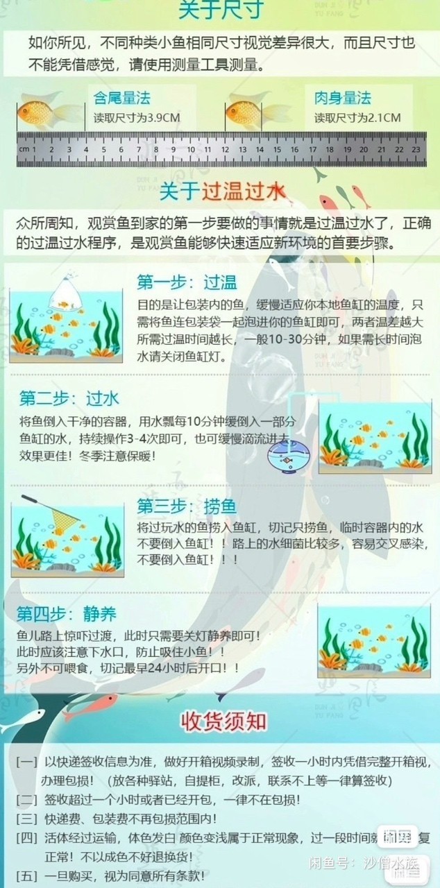 斑馬狗頭魚鄭州漁場發貨包郵紅順紋精品