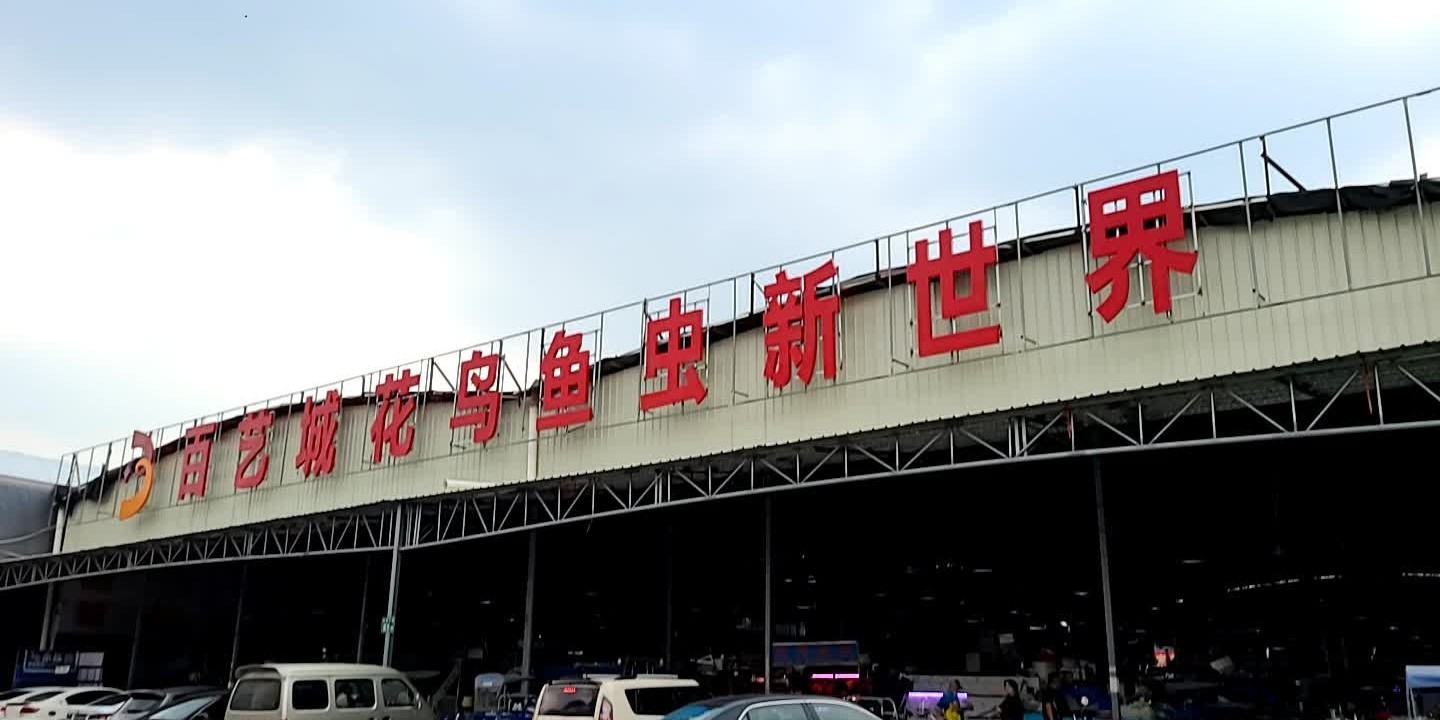 廣州百藝城龍魚市場地址在哪里？
