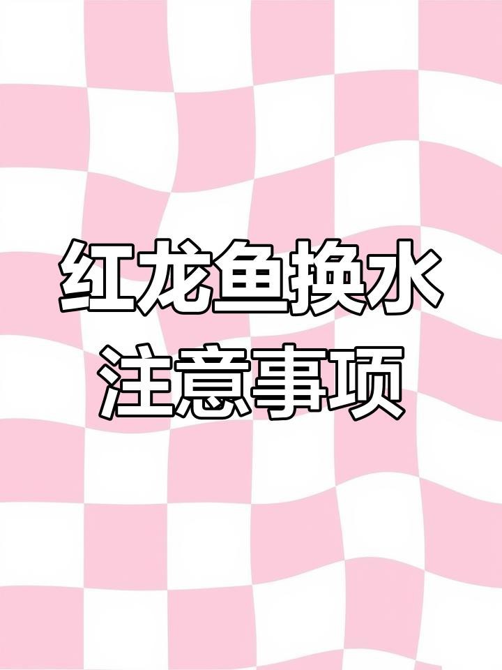 龍魚(yú)換水一般用什么水？
