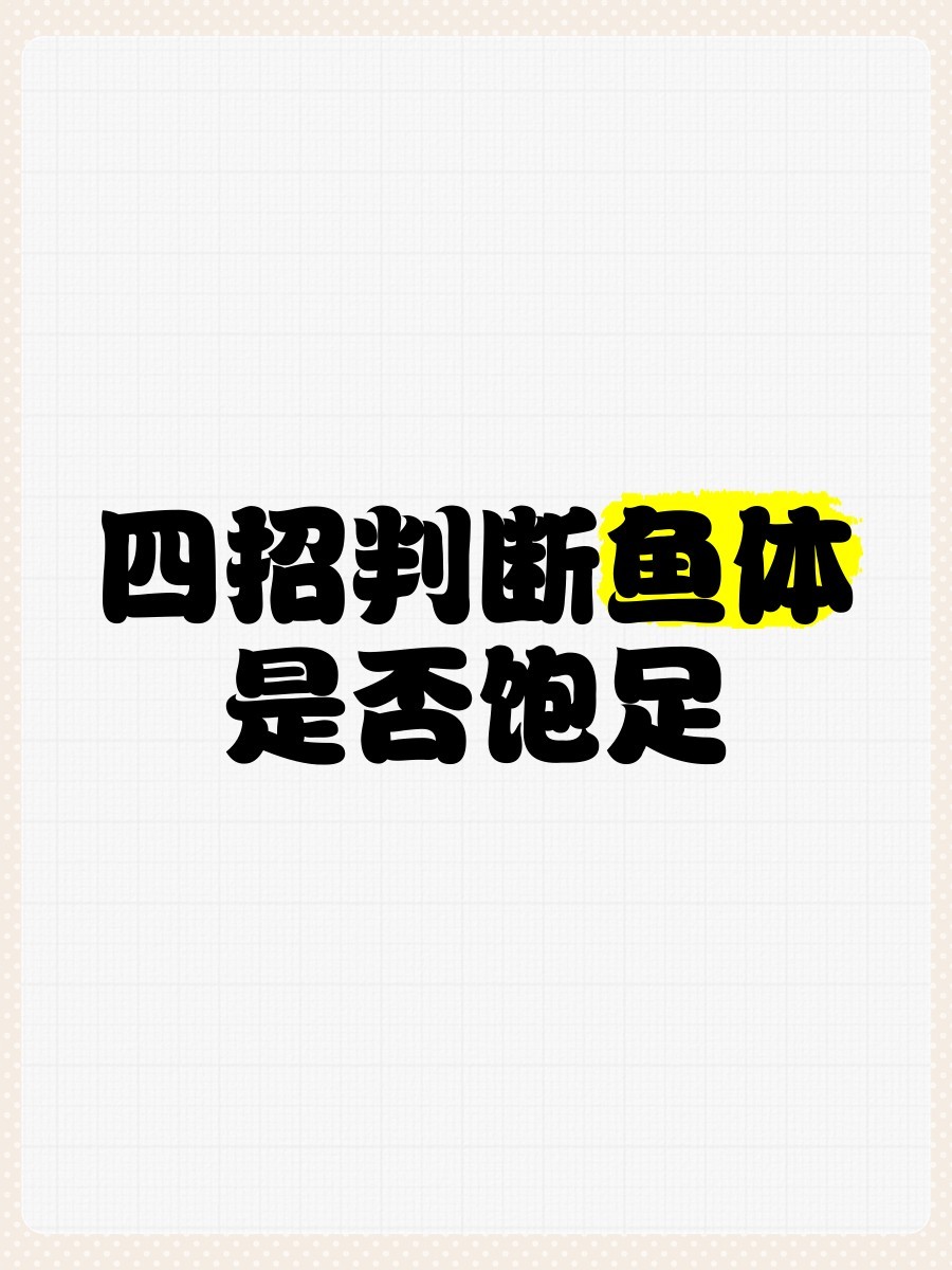 20cm紅龍魚多久喂一次？ 20cm紅龍魚多久喂一次？ 2025長城杯龍魚大賽 第9張