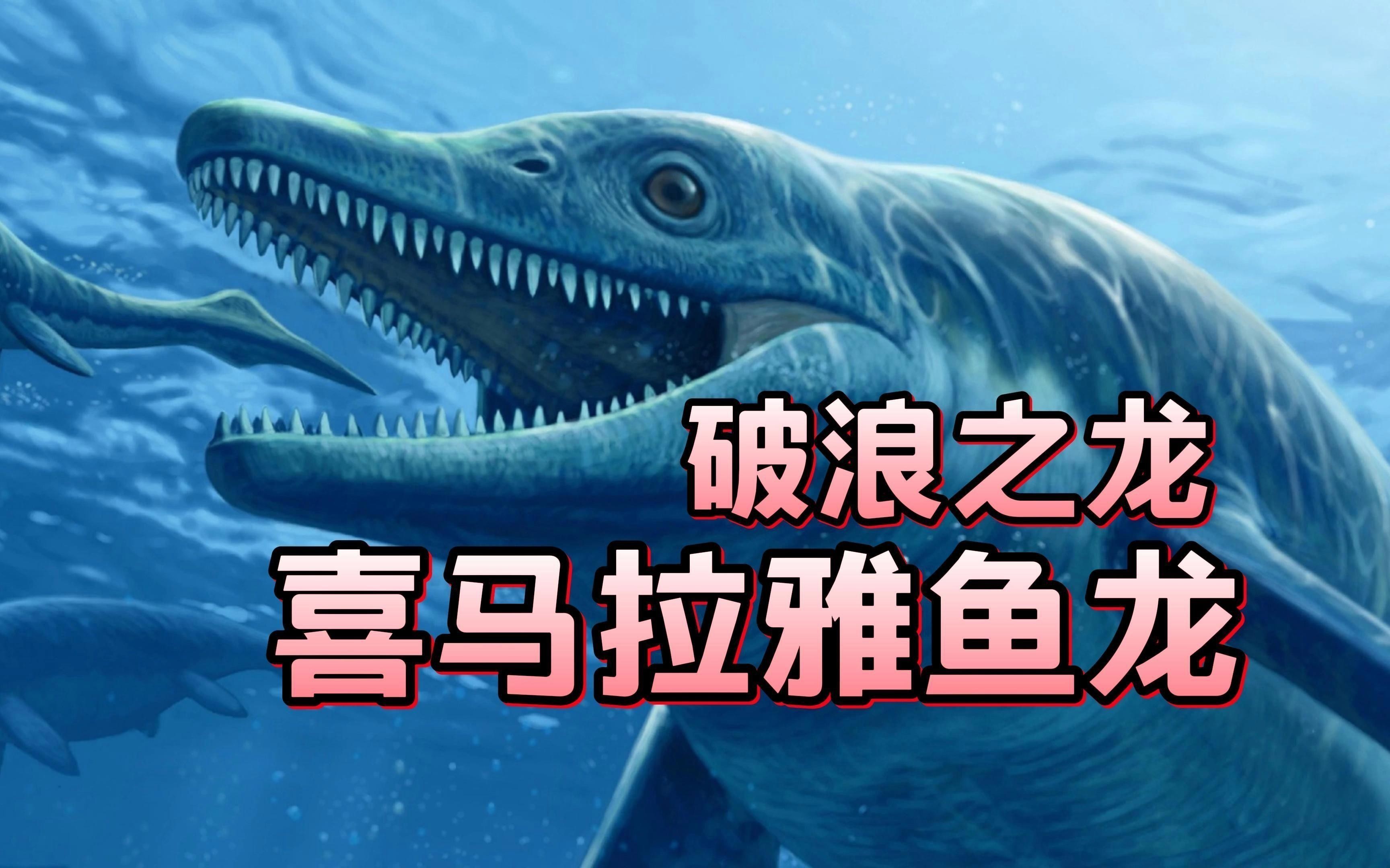 魚龍有哪些化石發現