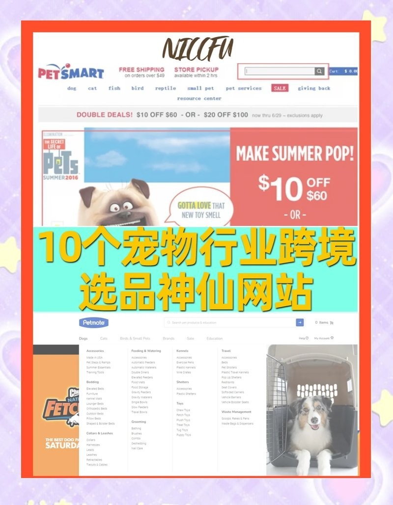 哪個平臺寵物用品選擇最多？