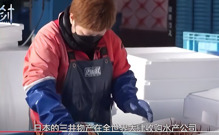秋刀魚(yú)為何被國(guó)家禁賣(mài)