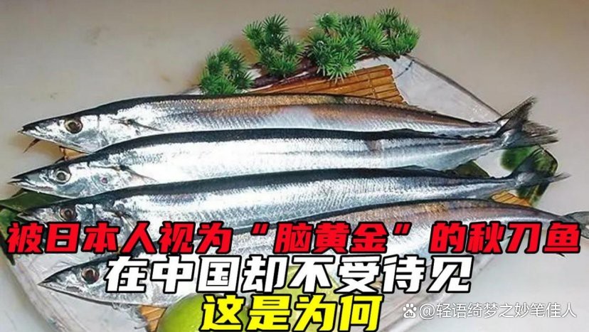 秋刀魚(yú)為何被國(guó)家禁賣(mài)