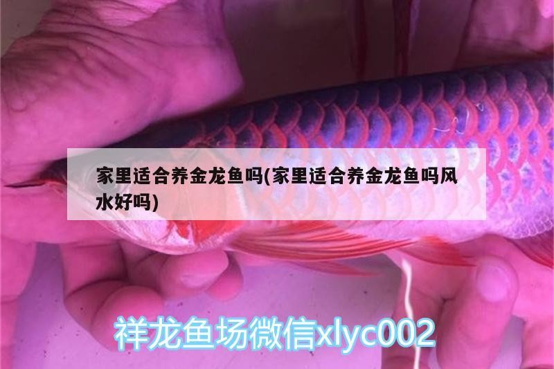 開平市三埠區(qū)藝昌水簇店（開平市三埠區(qū)藝昌水簇店電話）