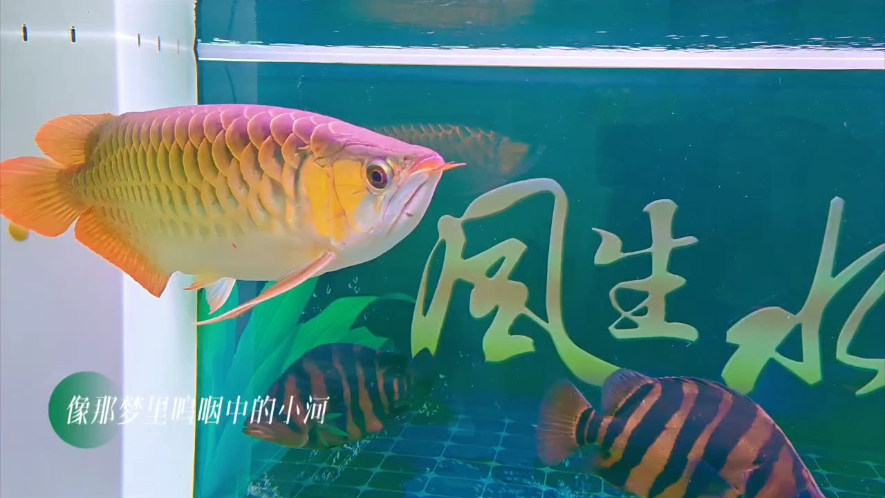 簡單分享