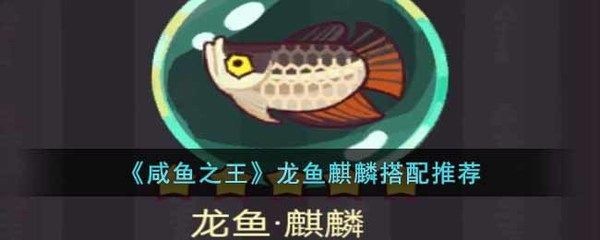 我的龍魚一直不好好吃怎么解決問題呢：龍魚不好好吃食可能由多種原因引起