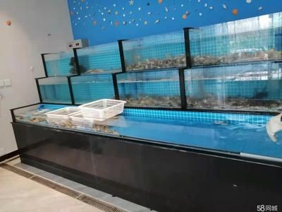 海鮮魚缸制作、貝類池和冰鮮臺海鮮缸的制作和定制：關于海鮮魚缸的一些問題