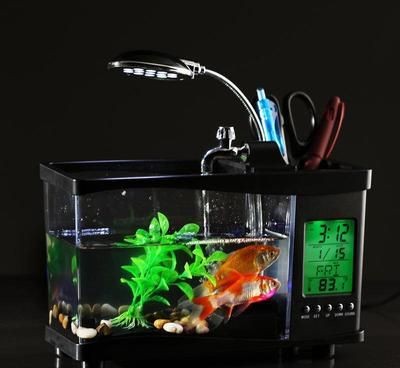 定興縣魚缸銷售點：定興縣哪里有專門賣魚缸的店鋪