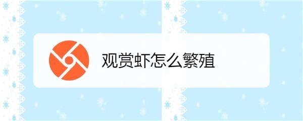 觀賞蝦繁殖需要注意什么 觀賞蝦繁殖需要注意什么 2025長城杯龍魚大賽 第3張