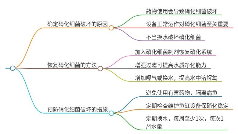 硝化細菌失敗后如何補救？