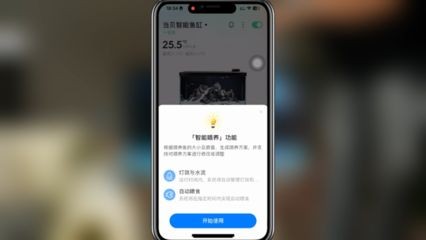 魚缸水質維護誤區：關于魚缸水質維護的誤區及其正確做法