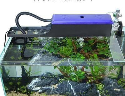 小魚缸安裝步驟視頻教程：小魚缸安裝步驟視頻教程：小魚缸安裝步驟視頻教程
