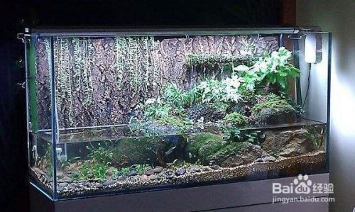 上海登應水族設備有限公司（上海登應水族設備有限公司怎么樣） 上海登應水族設備有限公司（上海登應水族設備有限公司怎么樣） 全國水族館企業名錄