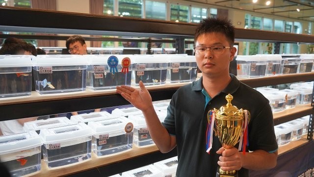 孔雀魚世界杯的獎金是多少？ 孔雀魚世界杯的獎金是多少？ 2025長城杯龍魚大賽 第7張