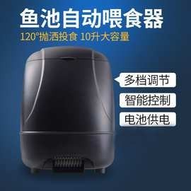 龍魚網撈