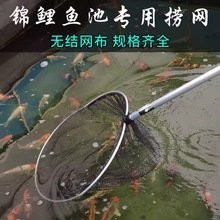 龍魚網撈