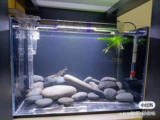 養(yǎng)魚(yú)新手必讀：魚(yú)缸選擇和維護(hù)：關(guān)于魚(yú)缸的常見(jiàn)問(wèn)題