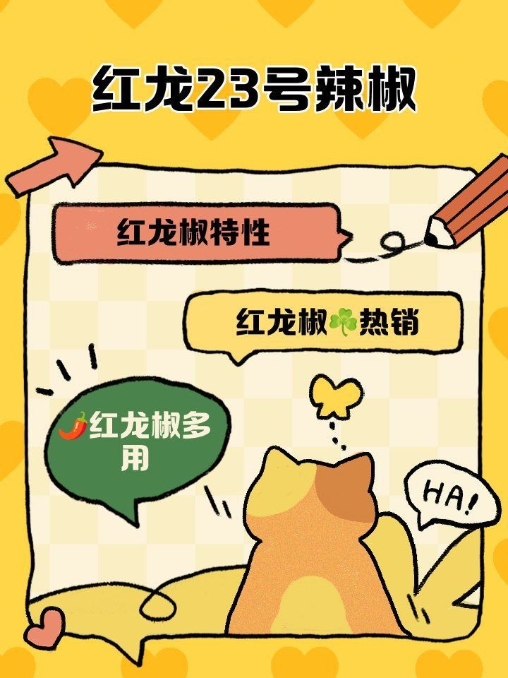 紅龍23號辣椒 紅龍23號辣椒 龍魚論壇 第9張