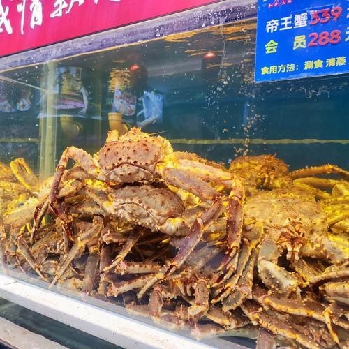 黃沙水產中心有哪些特色水產品 2025長城杯龍魚大賽 第1張 黃沙水產中心有哪些特色水產品 黃沙水產中心有哪些特色水產品 2025長城杯龍魚大賽 第1張