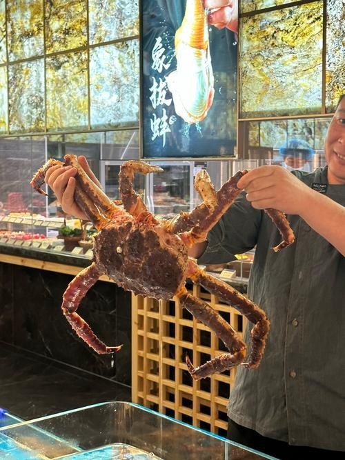 黃沙水產中心有哪些特色水產品 2025長城杯龍魚大賽 第5張 黃沙水產中心有哪些特色水產品 黃沙水產中心有哪些特色水產品 2025長城杯龍魚大賽 第5張