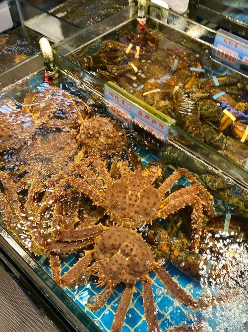 黃沙水產中心有哪些特色水產品 2025長城杯龍魚大賽 第3張 黃沙水產中心有哪些特色水產品 黃沙水產中心有哪些特色水產品 2025長城杯龍魚大賽 第3張