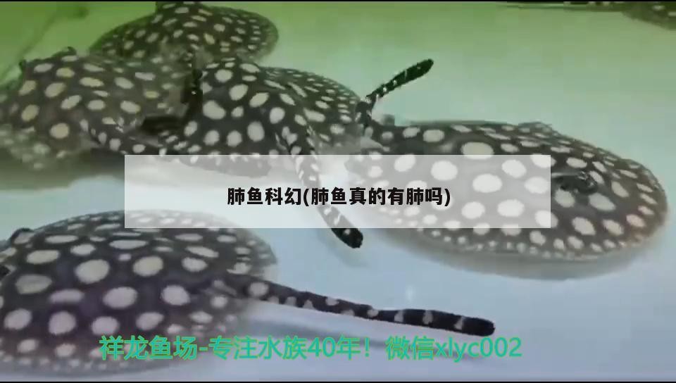 南京奧趣科技有限責(zé)任公司，