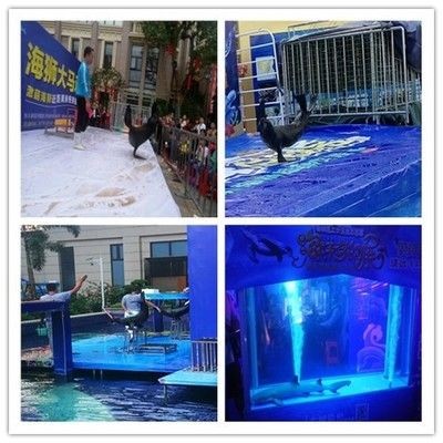 海城魚缸批發價格：上海海城魚缸批發價格