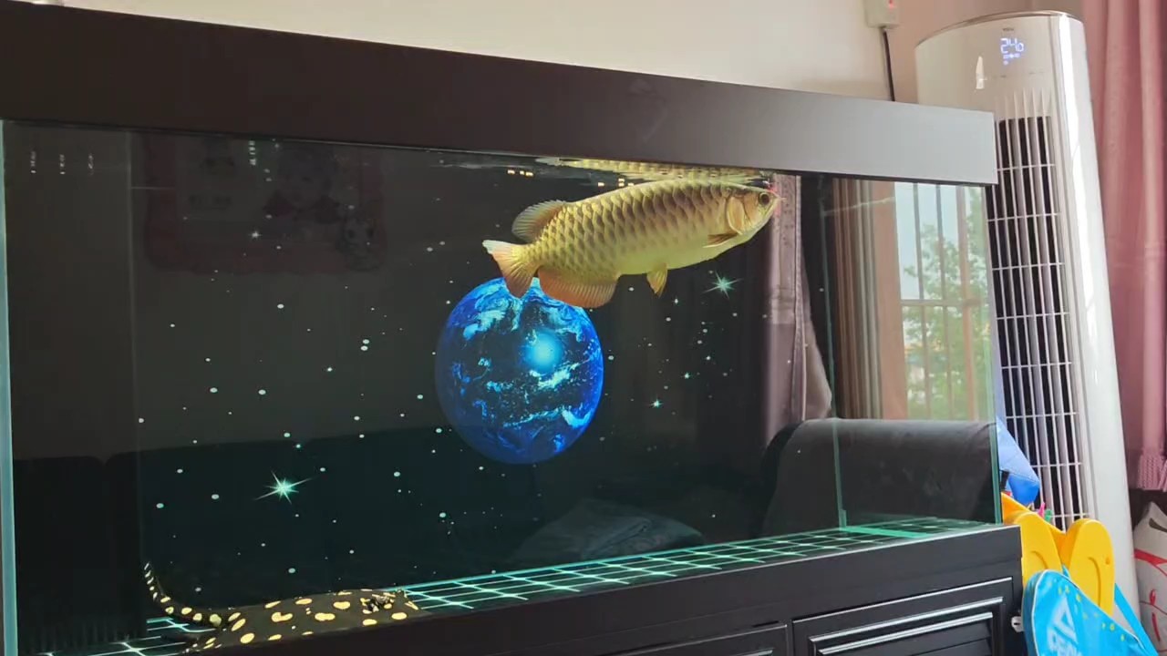 熊孩子嚇魚一跳[haochi]