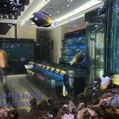 廣德賣魚缸在什么地方買的多（廣德賣魚缸的地點） 廣德賣魚缸在什么地方買的多（廣德賣魚缸的地點） 魚缸百科 第1張