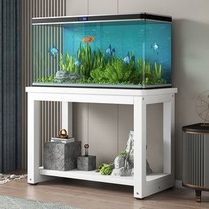 魚(yú)缸圖片2024新款大全（2024年新款魚(yú)缸圖片和信息和信息搜索結(jié)果整理的一些圖片和信息） 魚(yú)缸圖片2024新款大全（2024年新款魚(yú)缸圖片和信息和信息搜索結(jié)果整理的一些圖片和信息） 魚(yú)缸百科 第3張