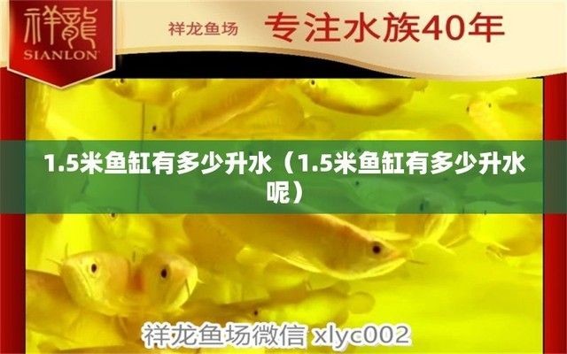 1.5米魚(yú)缸裝多少噸水，1.5米長(zhǎng)的魚(yú)缸可以容納約2.25噸水的魚(yú)缸設(shè)備