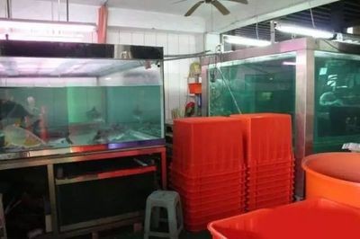 1.5米魚(yú)缸裝多少噸水，1.5米長(zhǎng)的魚(yú)缸可以容納約2.25噸水的魚(yú)缸設(shè)備
