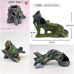 皮譜魚缸：森森he480魚缸布置技巧，皮球魚疾病預防方法 皮譜魚缸：森森he480魚缸布置技巧，皮球魚疾病預防方法 魚缸百科 第2張