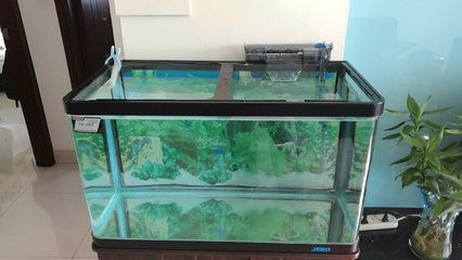 魚缸過濾魚缸過濾器安裝指南和注意事項及注意事項：魚缸生態系統的構建 魚缸過濾魚缸過濾器安裝指南和注意事項及注意事項：魚缸生態系統的構建 魚缸百科 第3張