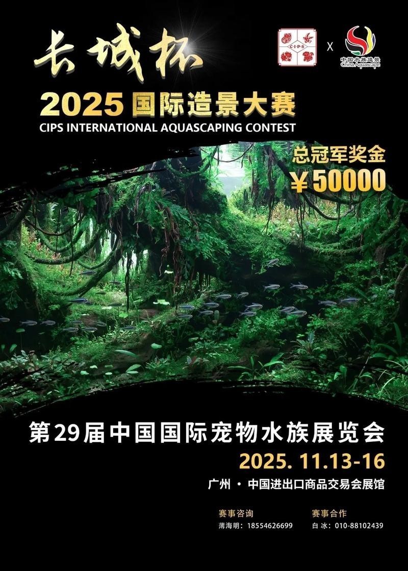 長城杯觀賞魚比賽2021獲獎(jiǎng)作品