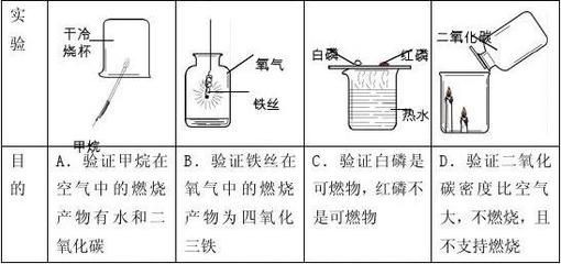 水族箱品牌十大排名榜最新：西龍魚缸質量怎么樣？全面解析西龍魚缸的優缺點