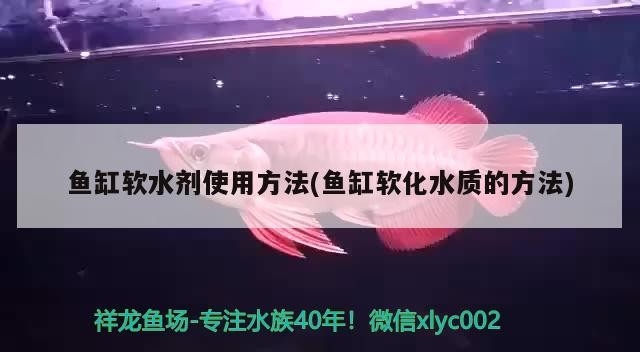 河北一零八零文化傳媒有限公司 河北一零八零文化傳媒有限公司 全國水族館企業(yè)名錄 第4張