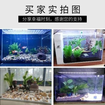 爬將軍魚缸怎么樣：爬將軍魚缸與其他品牌對比，爬將軍魚缸用戶反饋匯總 爬將軍魚缸怎么樣：爬將軍魚缸與其他品牌對比，爬將軍魚缸用戶反饋匯總 魚缸百科 第4張