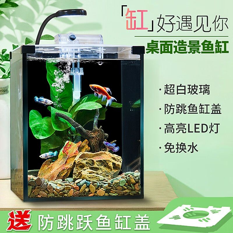 爬將軍魚缸怎么樣：爬將軍魚缸與其他品牌對比，爬將軍魚缸用戶反饋匯總 爬將軍魚缸怎么樣：爬將軍魚缸與其他品牌對比，爬將軍魚缸用戶反饋匯總 魚缸百科 第5張