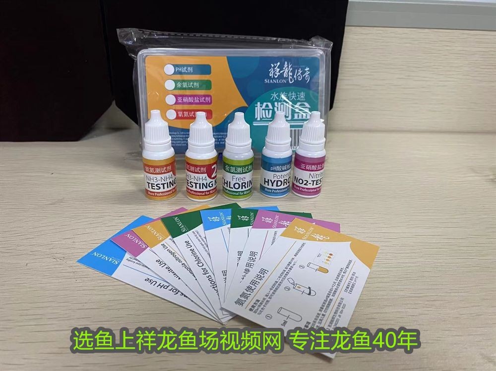 新買的龍魚不開口怎么辦視頻：新買的龍魚不開口怎么辦？原因分析與解決方法 新買的龍魚不開口怎么辦視頻：新買的龍魚不開口怎么辦？原因分析與解決方法 龍魚百科 第2張