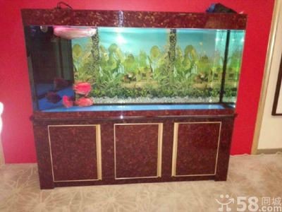魚缸拆解視頻教程圖解：魚缸拆解的詳細步驟和注意事項和注意事項和注意事項