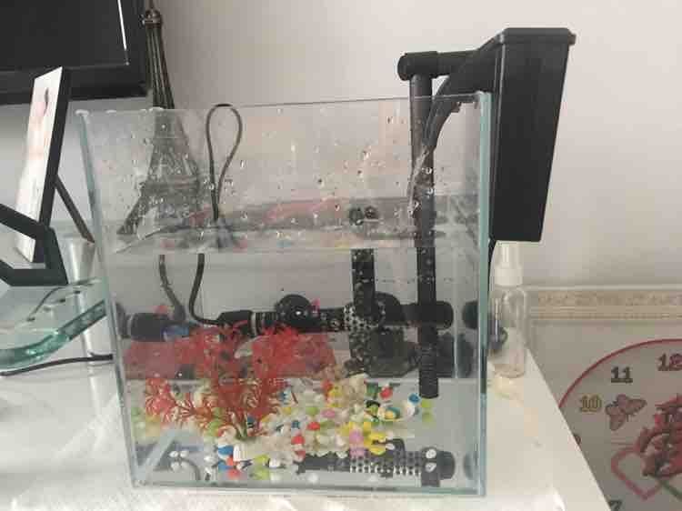 觀賞魚缸照明燈的安裝步驟和注意事項和注意事項:水族照明燈的選購與保養(yǎng) 魚缸百科 第3張 觀賞魚缸照明燈的安裝步驟和注意事項和注意事項:水族照明燈的選購與保養(yǎng) 觀賞魚缸照明燈的安裝步驟和注意事項和注意事項:水族照明燈的選購與保養(yǎng) 魚缸百科 第3張