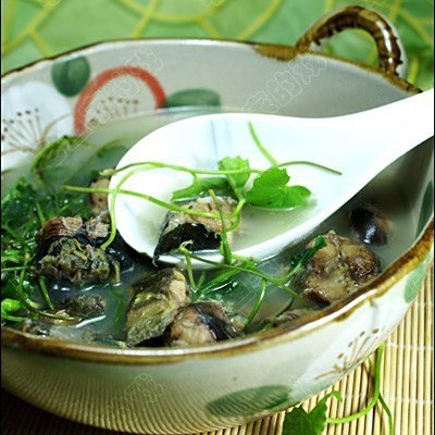 雷龍魚煲湯做法大全