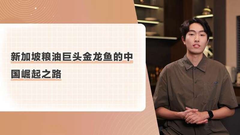 有哪些著名的金龍魚視頻創(chuàng)作者？ 有哪些著名的金龍魚視頻創(chuàng)作者？ 龍魚論壇 第6張