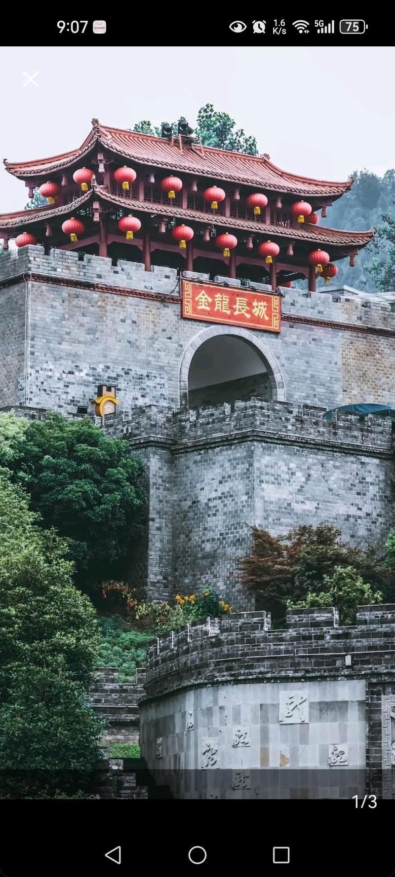 長城金龍喜